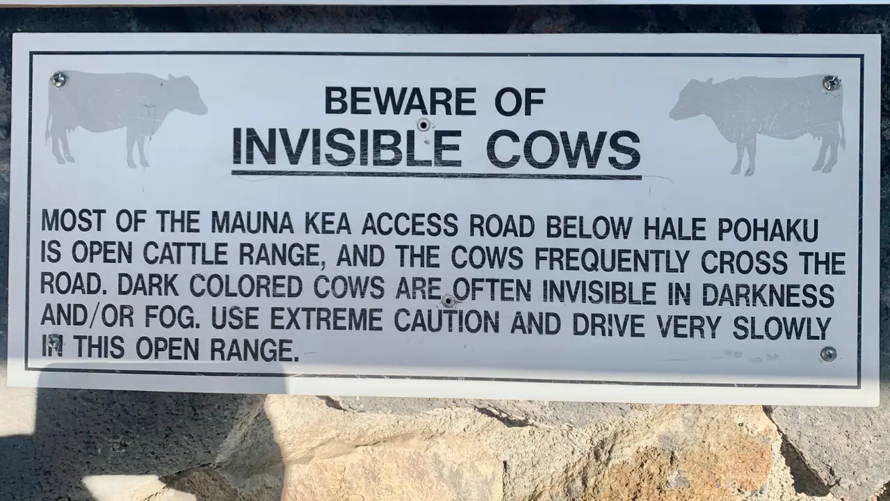 invisible cow animal warning traffic sign in hawaii usa