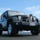 Which Car Rental Companies Allow Pets and Dogs?