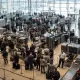 Frankfurt Airport Security Wait Times by Terminal & Peak Hours